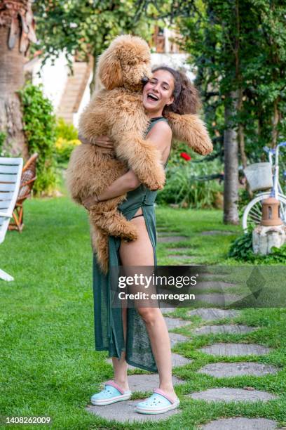 woman with her giant poodle dog on her lap - big hug stock pictures, royalty-free photos & images