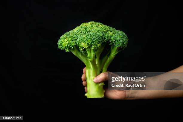 woman hand holding broccoli on black background - brocolli stock-fotos und bilder