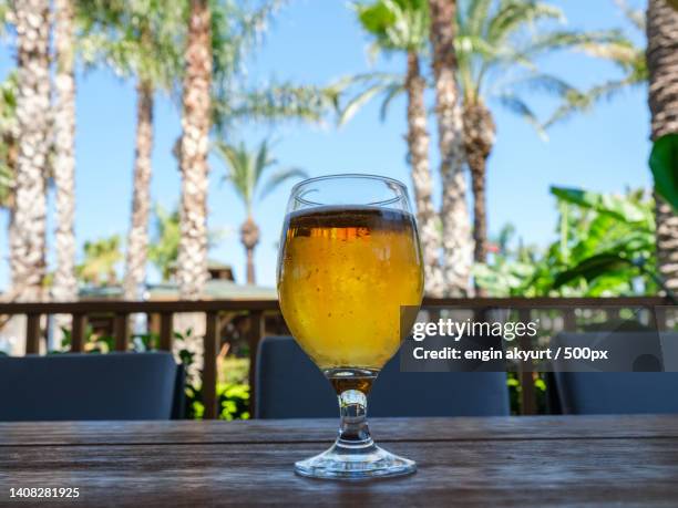 cold beer in a hotel bar - ale stock pictures, royalty-free photos & images