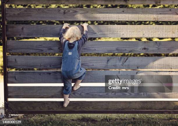 little boy climbed on the wooden fence - toddler photos et images de collection