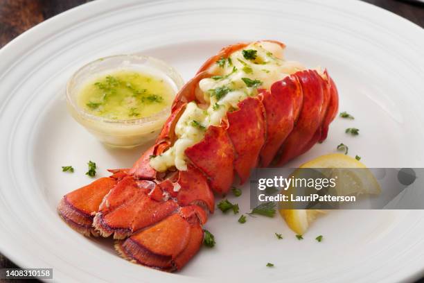 steamed lobster tail - tail stock pictures, royalty-free photos & images