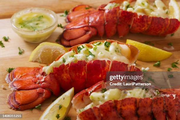 steamed lobster tail - seafood stock pictures, royalty-free photos & images