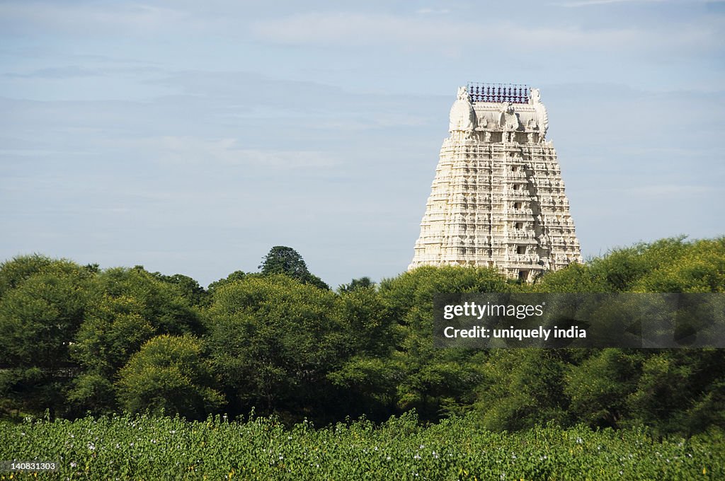 Low angle view of a temple, Tirumala Venkateswara Temple, Tirupati, Andhra Pradesh, India