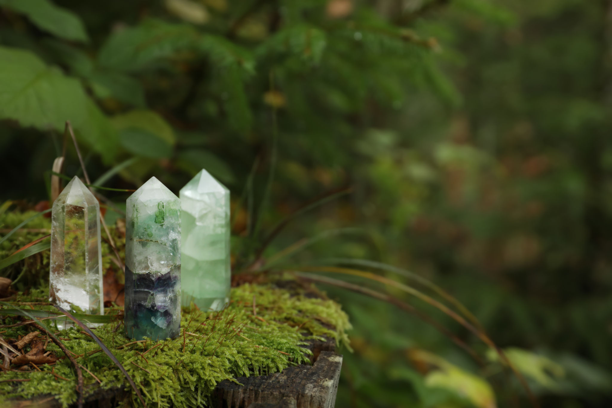 reiki nature