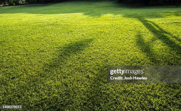 green grass background - rugby pitch stock pictures, royalty-free photos & images