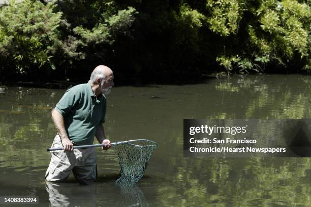 Frogs_047_pc.jpg Armed with two nets, Eric Mills wades out into the Lily Pond at Golden Gate Park in search of an African clawed frog on 4/29/04 in...