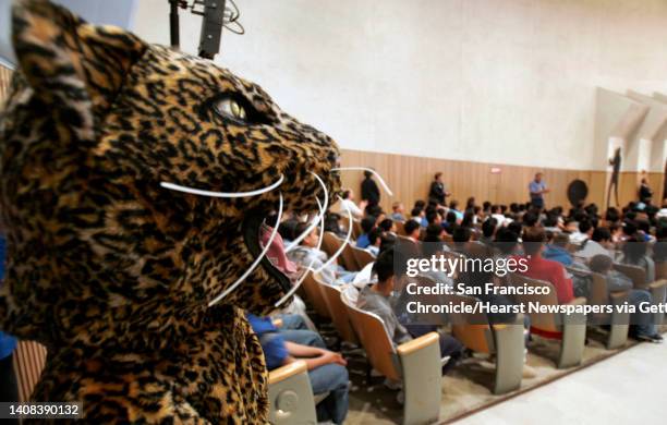 Wbschools25_022_pc.jpg Harold Byrd waits for his cue to come out on stage as he watches the festivities at the back of the auditorium. A.P. Giannini...