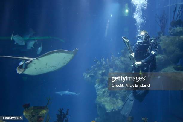 Baton bearer Sebastian Prajsnar holds the Queen's Baton during the Birmingham 2022 Queen's Baton Relay on a visit to The Deep, Hull, United Kingdom...