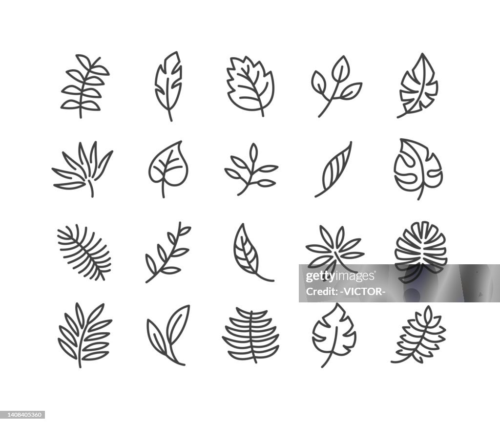 リーフアイコン - クラシックラインシリーズ