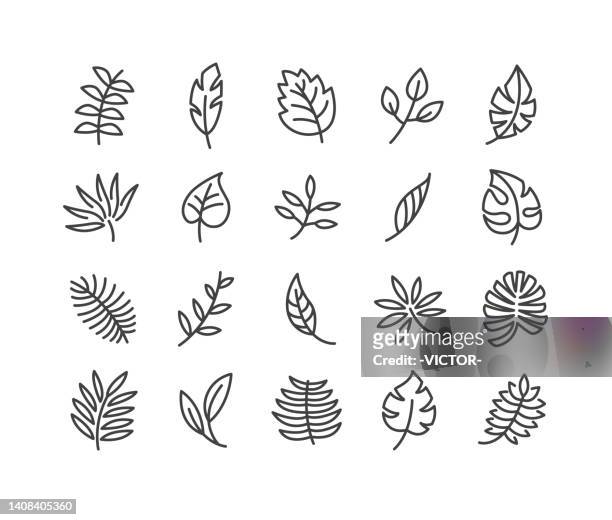 leaf icons - classic line series - monstera stock illustrations