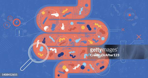 bad bacteria in gut - campylobacter stock illustrations