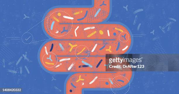 konzept der darmmikrobiota probiotika - dickdarm verdauungstrakt stock-grafiken, -clipart, -cartoons und -symbole