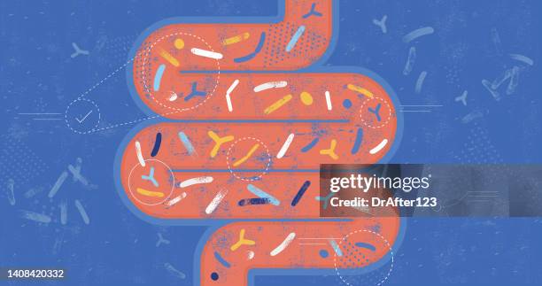 stockillustraties, clipart, cartoons en iconen met gut microbiota probiotics concept - stomach