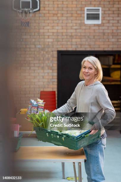 organising the fresh veggies - food distribution stock pictures, royalty-free photos & images