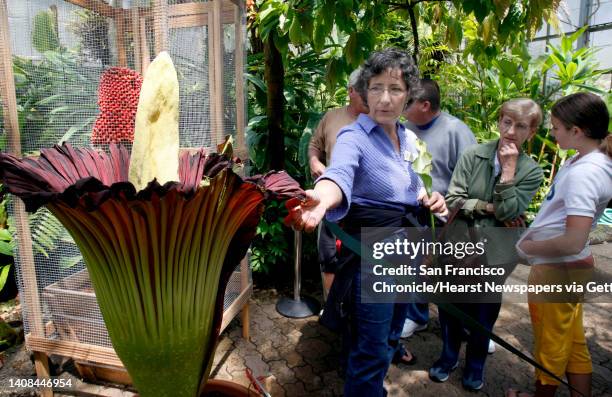Cynthia Plambeck describes the corpse flower for visitors at the UC Botanical Garden in Berkeley, Calif., on Tuesday, July 1, 2008. Also, known as...