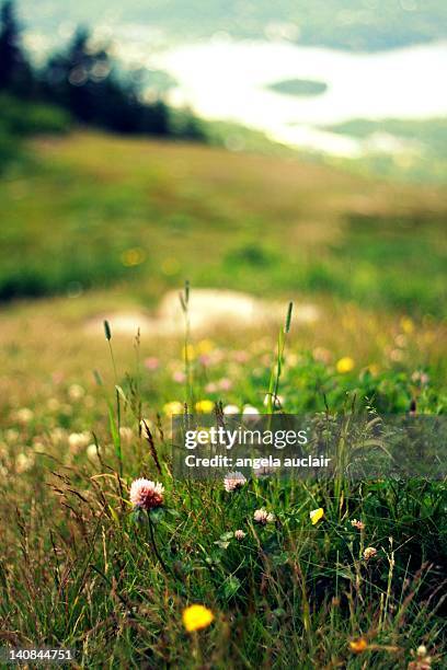 mont tremblant summit - mont tremblant photos et images de collection
