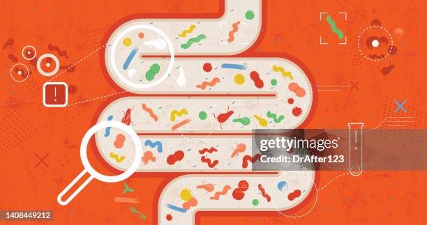 illustrazioni stock, clip art, cartoni animati e icone di tendenza di batteri intestinali e cattivi - colon