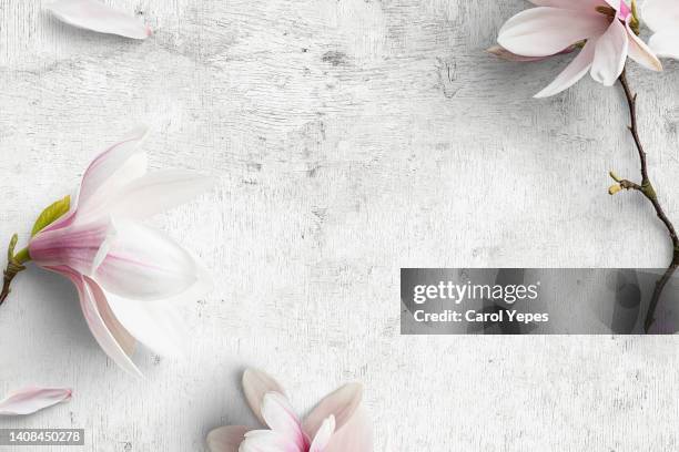 flowers frame top view - wedding card background stock pictures, royalty-free photos & images