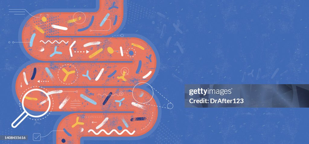 Probióticos Microbiota intestinal