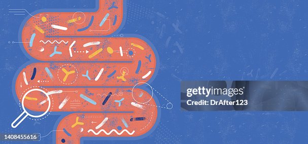 Probiota Probiotics Gut Microbiota High-Res Vector Graphic - Getty Images