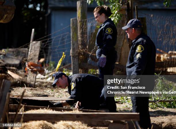 Alameda County Sheriffs deputies search for evidence after a shed was demolished and removed in the backyard of Phillip Garrido's next door neighbor...