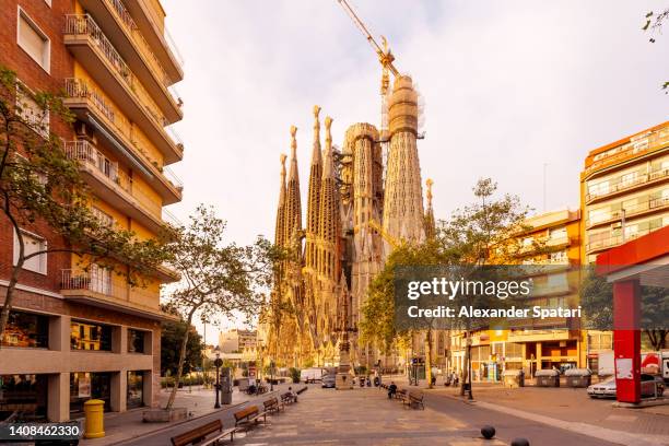 sagrada familia church on a sunny morning, barcelona, spain - sagrada familia barcelona stock pictures, royalty-free photos & images