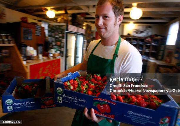 Sam Lustig moves boxes of fresh strawberries in the shop at Swanton Berry Farms in Davenport, Calif., on Tuesday, May 25, 2010. The state Department...