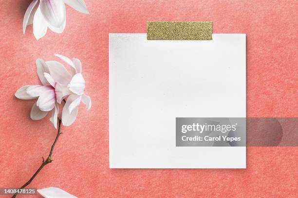 blank sticky note in pink surface with ehite flowers - white flower paper stock-fotos und bilder