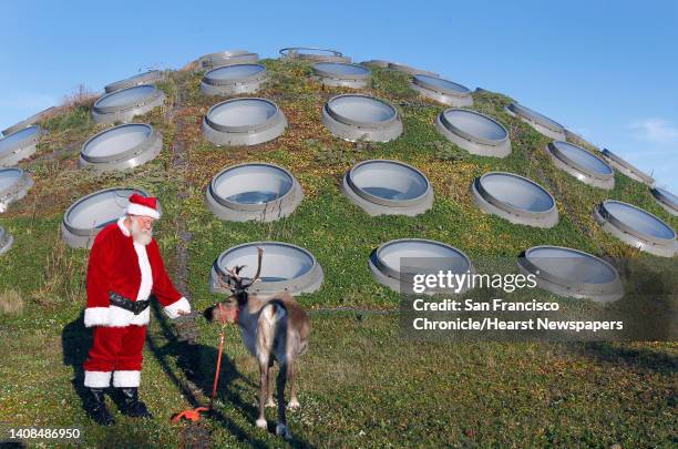 Santa Claus, who in real life is herpetology collections manager Jens Vindum, reaches out to Willow, a frisky reindeer grazing on the Living Roof of...