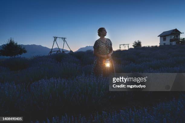 woman holding lantern in the lavender field during night - idyllic cottage stock pictures, royalty-free photos & images