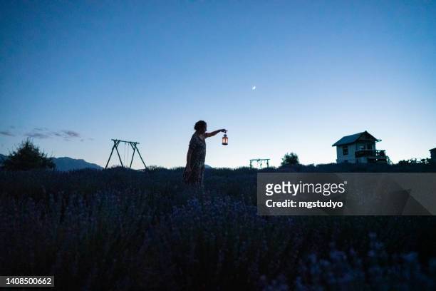 farmer woman holding lantern in the lavender field during night, - farmhouse stock pictures, royalty-free photos & images