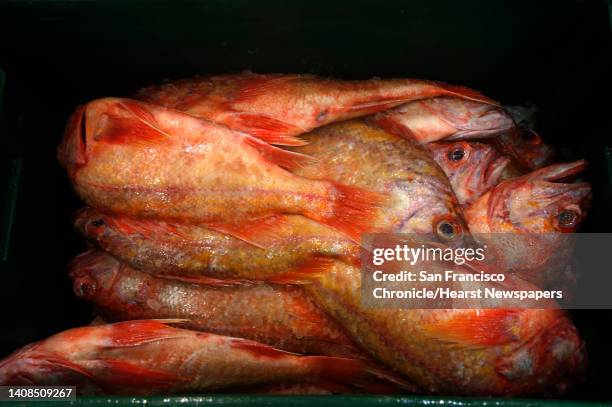 208 San Francisco Fish Market Stock Photos, High-Res Pictures, and ...