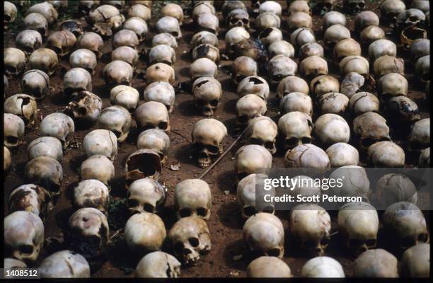 Rows of skulls are lined up on the ground outside a chapel November 6, 1994 in Rwanda. Between half a million and a million people, almost...