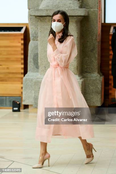 Queen Letizia of Spain attends the National Culture awards 2020 at the El Prado museum on July 13, 2022 in Madrid, Spain.