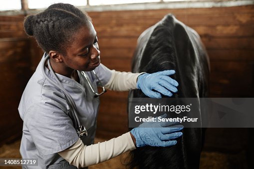 Black Young Woman as Veterinarian Black Young Woman as Veterinarian