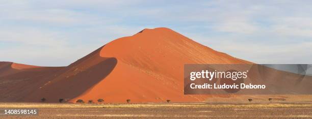 sand dune landscape with acacia trees in namibia - namib desert stock pictures, royalty-free photos & images