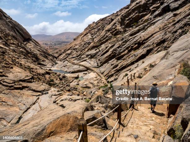 hiking woman walking through a ravine between rocks and mountains. - fuerteventura stockfoto's en -beelden