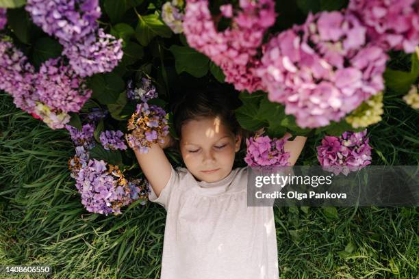 the girl is lying next to a hydrangea bush in the garden. - hydrangea lifestyle stockfoto's en -beelden