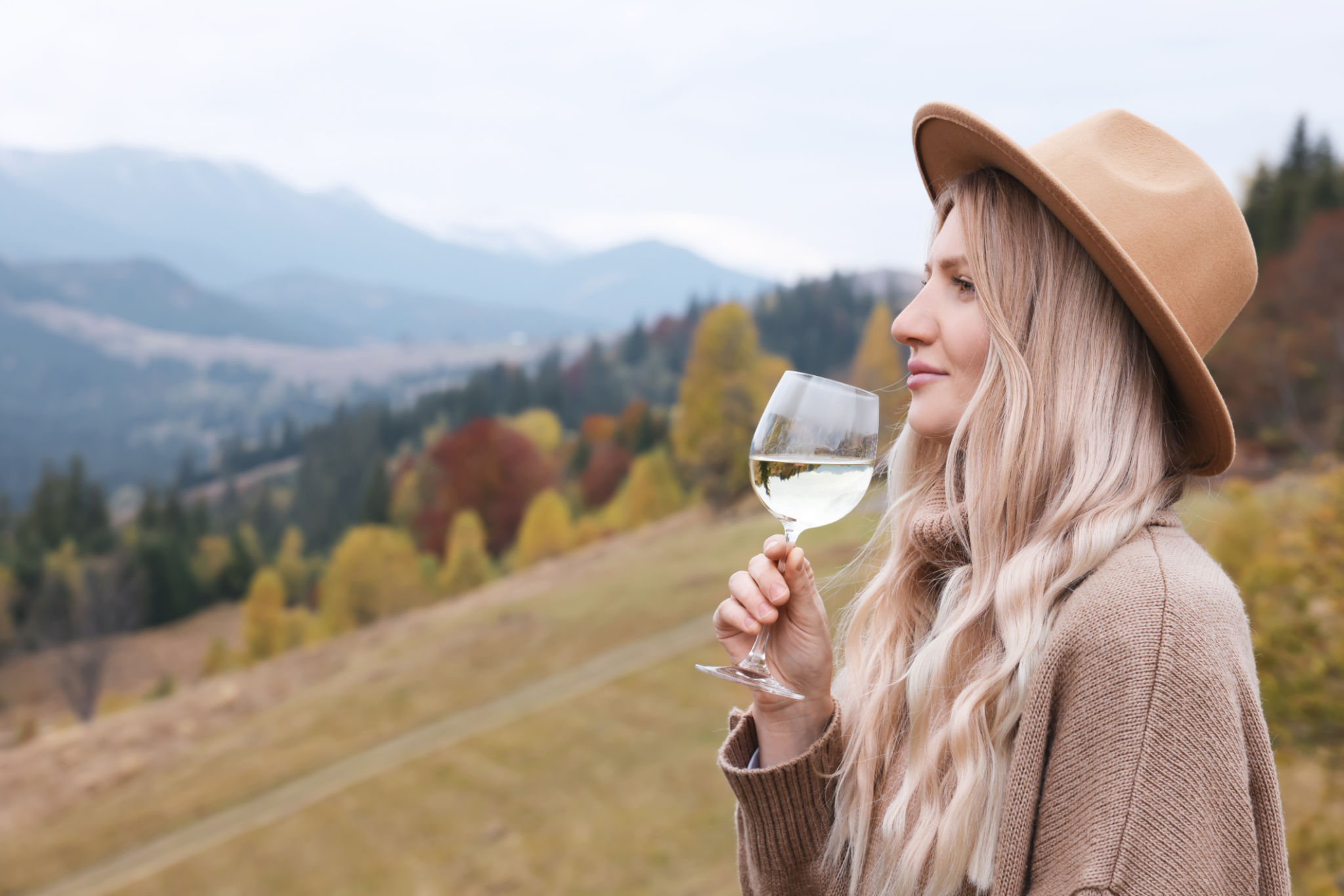 wine tour booking