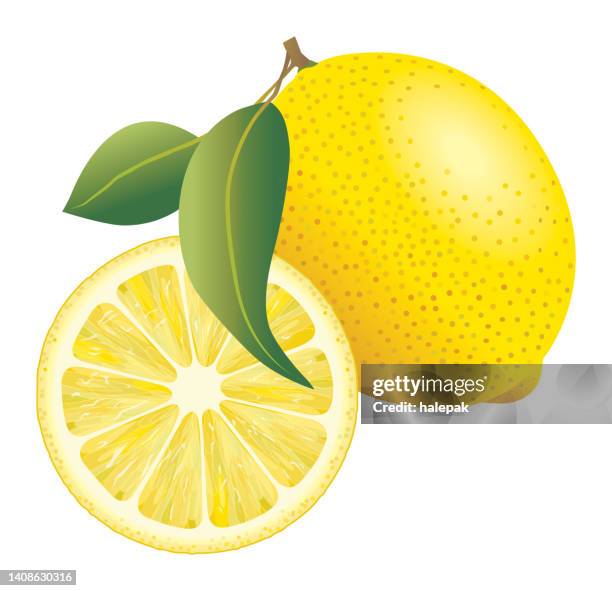 ilustrações, clipart, desenhos animados e ícones de limão - lemon soda