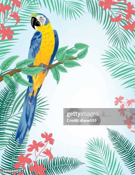 brightly colored tropical background invitation template with parrot and room for text - parrot stock illustrations