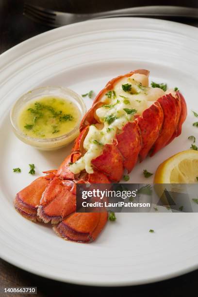 cola de langosta al vapor - lobster fotografías e imágenes de stock