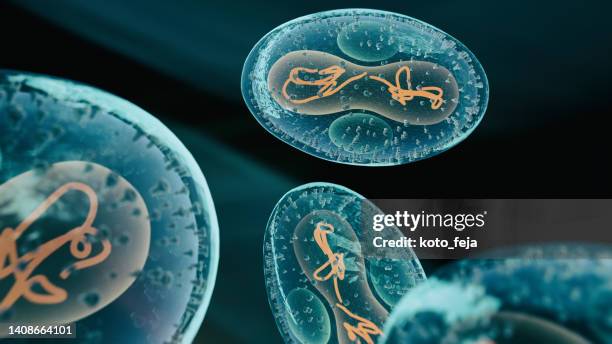 viral infection monkeypox virus - smallpox epidemic stock pictures, royalty-free photos & images