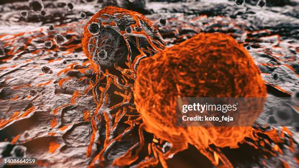 células malignas do câncer - microscopia eletrônica de varredura - fotografias e filmes do acervo