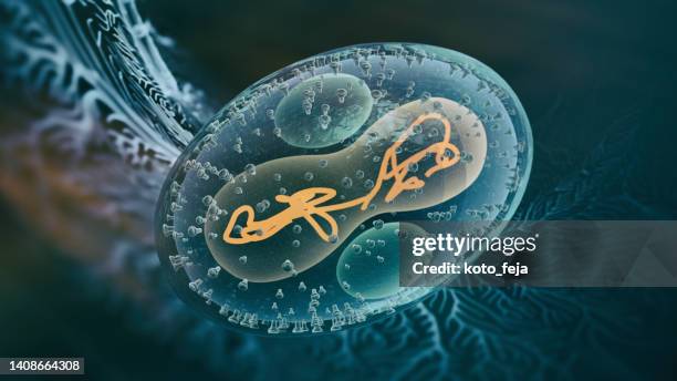 viral infection monkeypox virus - rna virus 個照片及圖片檔