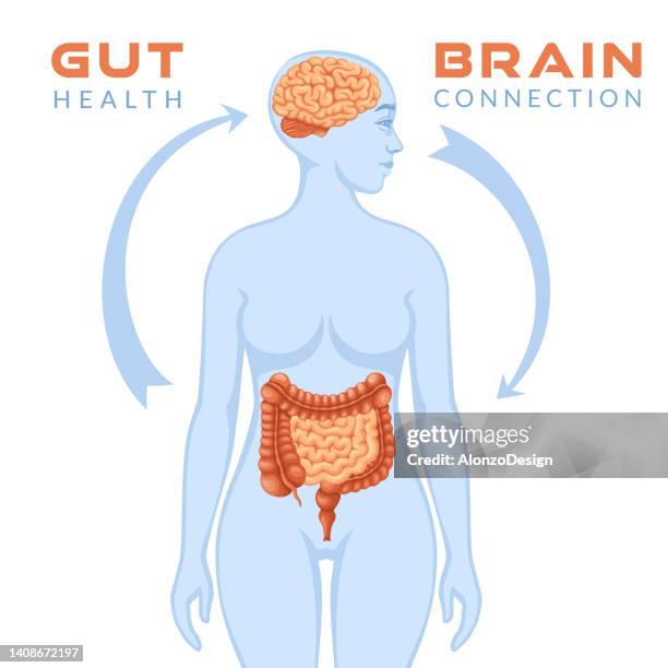 gut brain connection. - diarrhea stock illustrations