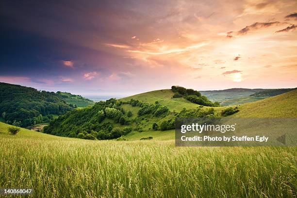 kaiserstuhl sunset - colina fotografías e imágenes de stock