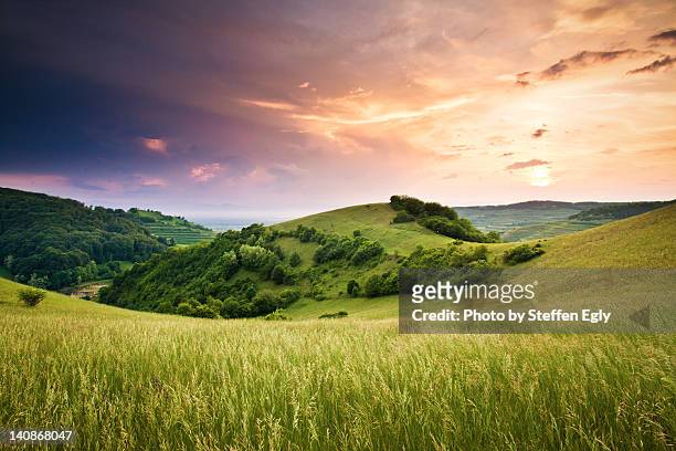 kaiserstuhl sunset - hill stock pictures, royalty-free photos & images