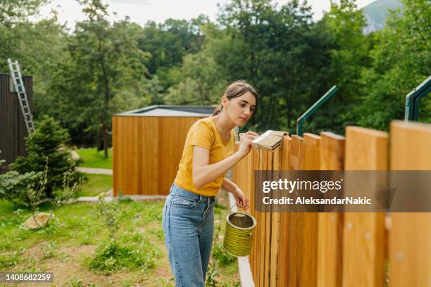pittura recinzione da giardino - steccato foto e immagini stock