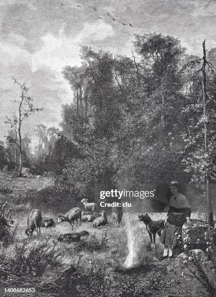 autumn idyll with sheep, woman with dog by a camp fire - archival camping stock illustrations